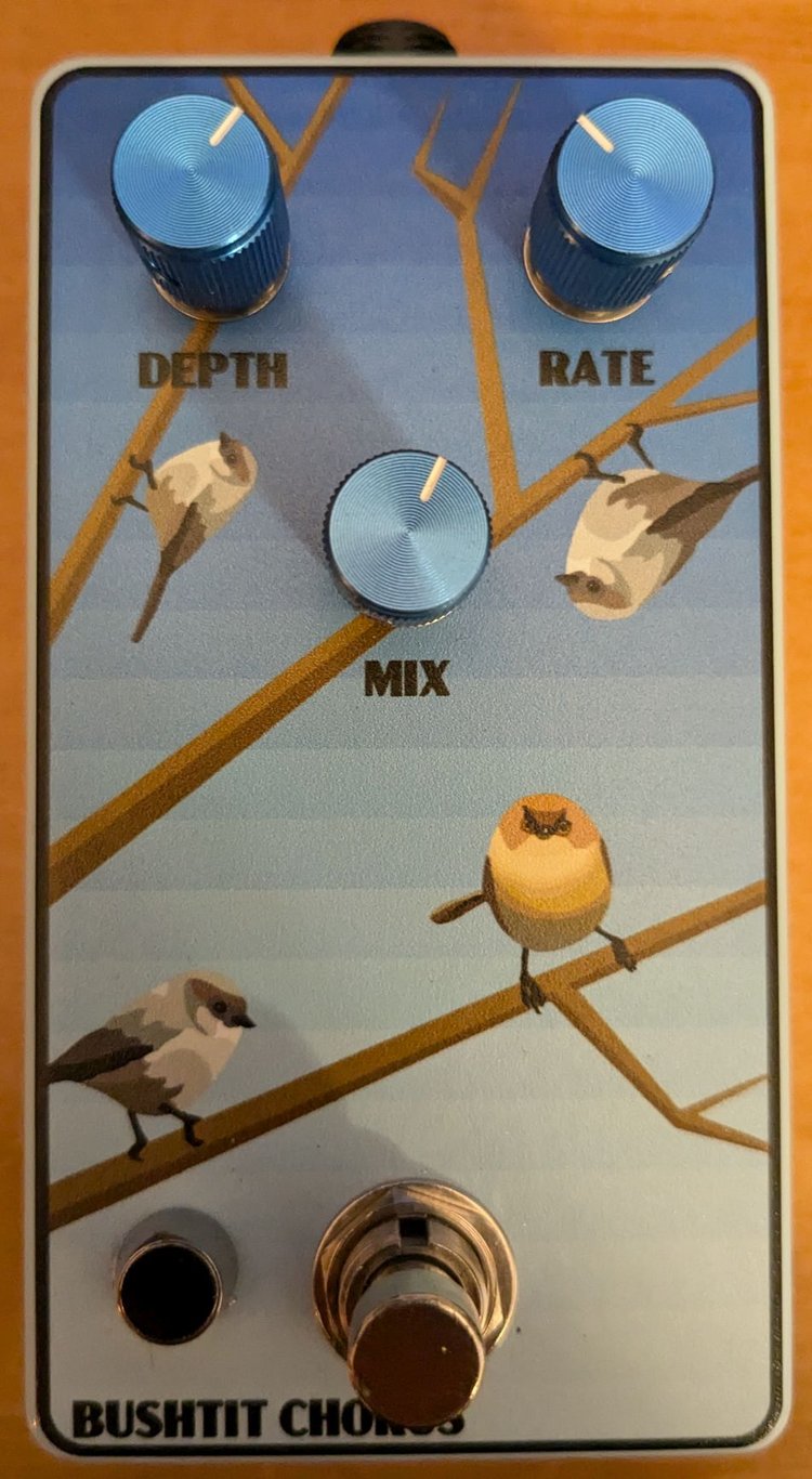 Bushtit Chorus front