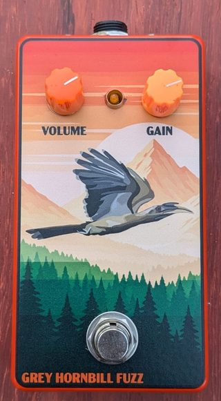 Grey Hornbill Fuzz