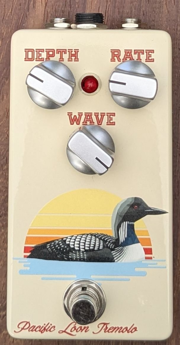 Pacific Loon Tremolo front