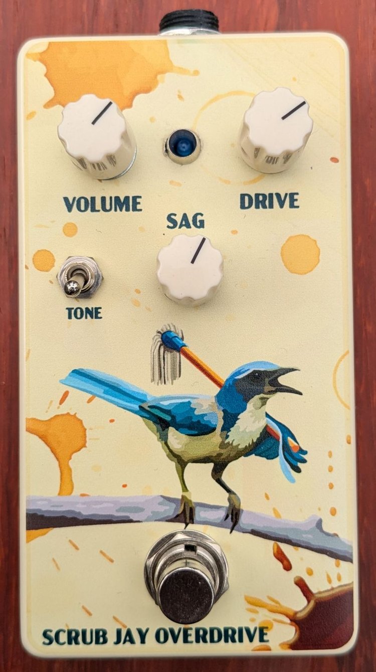 Scrub Jay Overdrive front