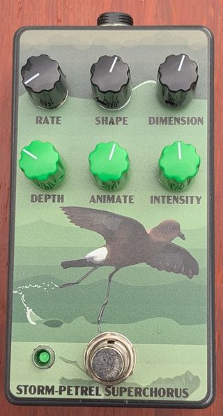 Storm-Petrel Superchorus