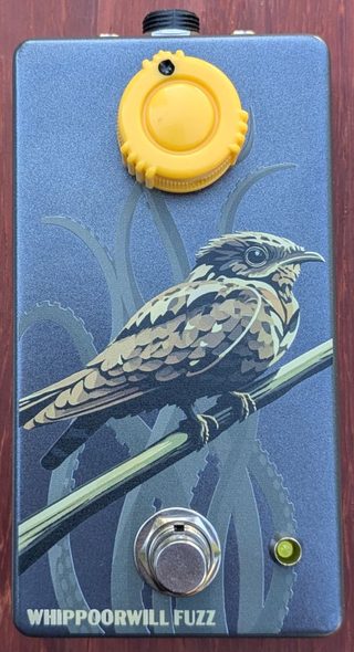 Whippoorwill Fuzz